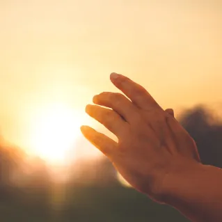 Hand touching sunlight