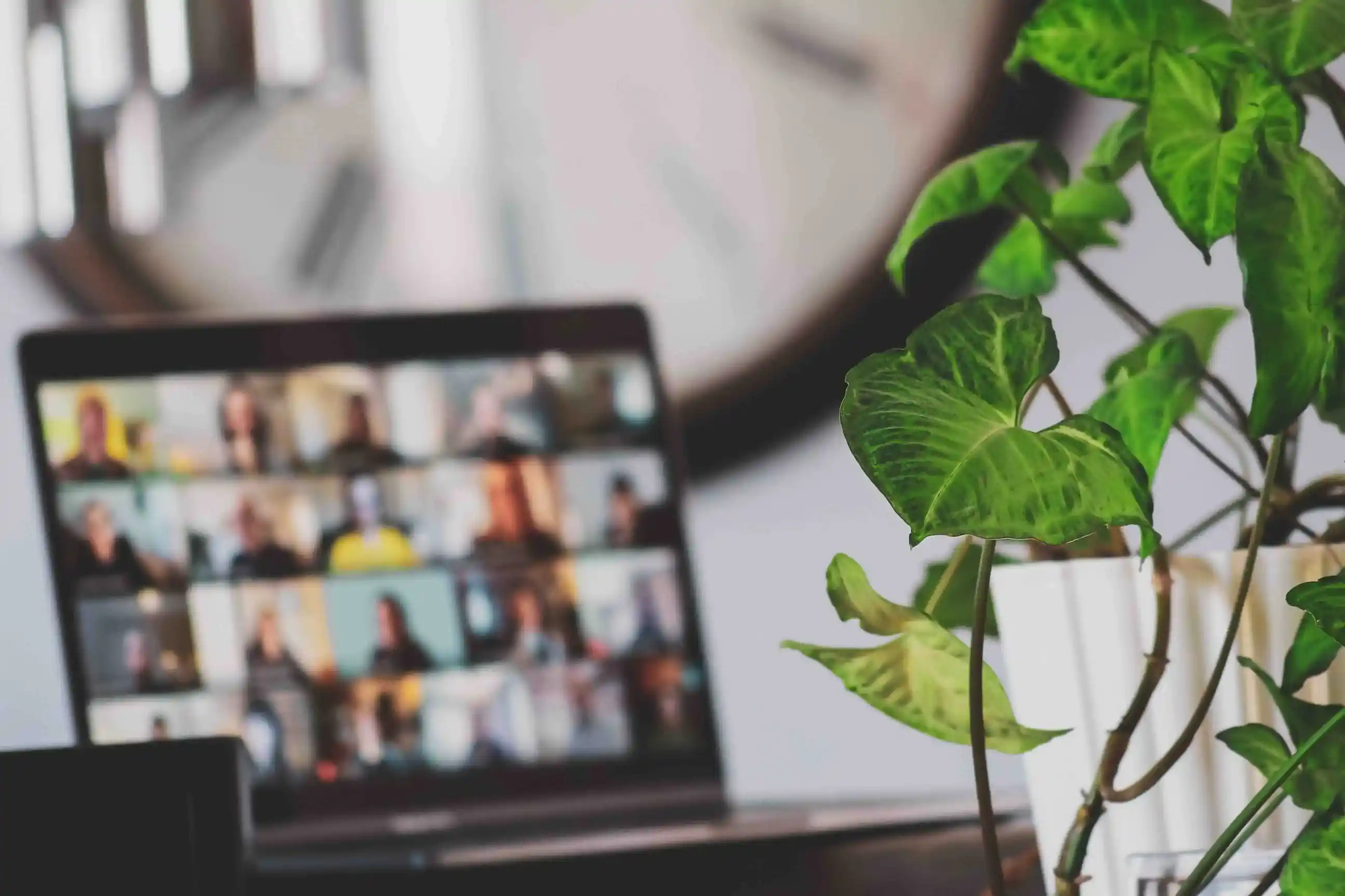 Faded computer with Zoom people and plant in front